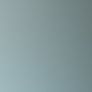 Meet your Posher, Garret